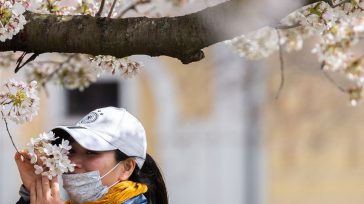 En cuanto a sabores específicos, estos primeros datos recogen con qué frecuencia se producen esos cambios, es decir, cuántas personas de las que completaron la encuesta percibieron alguna variación. &nbsp; [&hellip;]