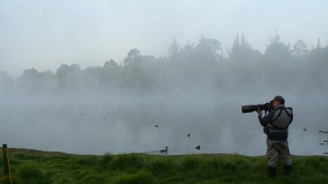 Parque La Florida. Foto Diana Balcázar &nbsp; &nbsp; Diana Balcázar Niño Tradicionalmente, el término pajarero es entendido como aquella persona que caza, cría o vende pájaros, como bien lo dice [&hellip;]