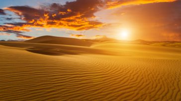 Un estudio estima que, dentro de 50 años, las regiones con una temperatura media anual como la del desierto del Sáhara pasarán a ocupar un 19% de la superficie terrestre, [&hellip;]