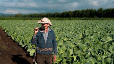 El programa de la Gobernacion del Cundinamarca  de créditos a los campesinos con cero interés, para ayudar a la reactivación del campo  está siendo estudiado en otros departamentos para replicarlo.  [&hellip;]