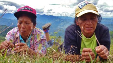 Las  instancias de Mujer y Género, como también se denominan, tendrán la misión de asegurar la participación plena y efectiva de las mujeres y velar por la igualdad de oportunidades [&hellip;]