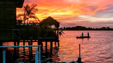 Es un suicidio lo que la humanidad está haciendo con la destrucción del Amazonas. .