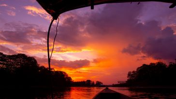 En América del Sur, COVID-19 continúa extendiéndose en la cuenca del Amazonas, con países como Bolivia, Ecuador, Colombia y Perú que experimentan aumentos significativos en los casos, particularmente en los [&hellip;]