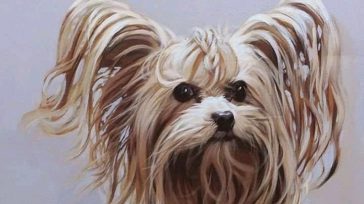 Día en que se conmemora al «mejor amigo del hombre», y se busca exaltar la importancia de esta mascota en la sociedad colombiana. Pintura Jorge Restrepo. &nbsp; &nbsp; 21 de [&hellip;]