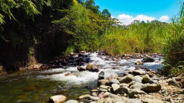 El río Pance donde las autoridades están atentas para que la gente no llegue a este sitio, sino que continúen  aislados en sus viviendas para evitar el crecimiento del contagio [&hellip;]