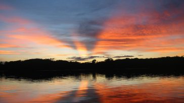 Los costos sociales los llevan colonos y nativos indígenas, ancestrales pobladores que ven desbastadas sus tierras.  &nbsp; &nbsp; Gerney Ríos González Para auscultar el Amazonas, es preciso analizar el Tratado [&hellip;]