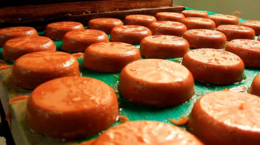 Según el sector panelero si la Superintendencia de Industria y Comercio acepta patentar el proceso, afectaría al sector campesino que se dedica a la producción de panela e incluso las [&hellip;]