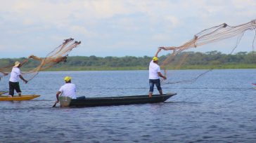 A Ciénaga del Opón se llega por un caño que transcurre en medio de una vegetación densa donde se alcanzan a ver micos, iguanas y babillas.     Los habitantes […]