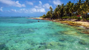 San Andrés      Pocos saben que el capitán Lope de Olano descubrió el Archipiélago de San Andrés y Providencia. La mayor parte de los autores lo atribuye a Colón. […]