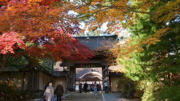 Hojas de otoño (Moniji)  en Kongōbu-ji, Monte Koya. Declarado Patrimonio de la Humanidad      Las calles de Japón se ponen rosadas en septiembre. Toda la nación espera la floración […]