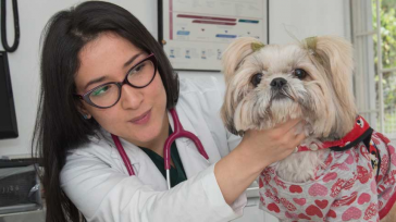 La investigación ha permitido confirmar la importancia de la tenencia responsable de mascotas &nbsp; Orbedartos Agencia de Noticias  Los perros y gatos son quizás de los animales más comunes en varias [&hellip;]