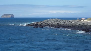 Parque Nacional Galápagos Foto: Alvaro Sevilla.         El Parque Nacional Galápagos es uno de los lugares turísticos más atractivos de Ecuador y en su interior habitan tortugas gigantes, iguanas prehistóricas y […]