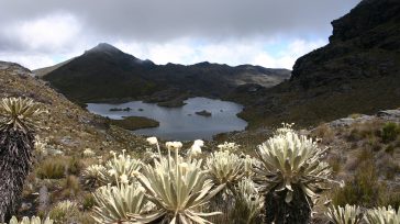 La Sociedad Minera de Santander (Minesa) informó que apelará la decisión de la Anla de archivar el proyecto ‘Soto Norte’ con el que se pretendía adelantar explotación subterránea de minerales en zonas […]