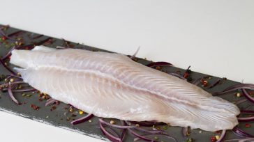 Edwardsiella incluye un grupo de organismos móviles, lactosa-negativos que se asemejan a las salmonelas  en algunos aspectos bioquímicos en peces y reptiles.Esta especie puede llegar a causar enfermedad en los humanos. &nbsp; El [&hellip;]