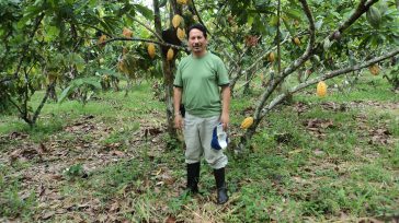 Cultivos de cacao &nbsp; &nbsp; &nbsp; En el departamento del Quindío se registran al menos 350 hectáreas de cacao sembradas. &nbsp; El Instituto Colombiano Agropecuario, ICA, realizó visitas de inspección [&hellip;]