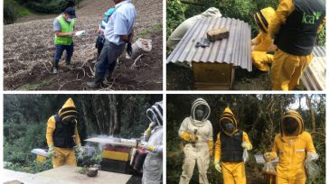 ICA atiende emergencia por muerte inusual de abejas.     Las abejas mueren envenenada por los químicos que se utilizan en los cultivos.        Funcionarios del ICA y […]