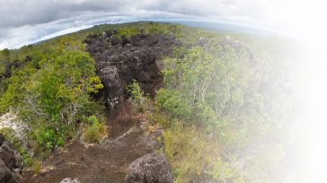 La ciudad perdida, la de Araracuara, queda a tres horas del pueblo. Allí se entiende la potencia de la manigua, el poder de la selva, con ese halo de vida, [&hellip;]