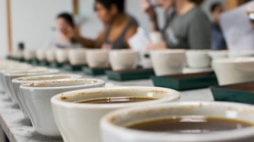 Sexta versión del Concurso Nacional de Calidad de Café: Colombia Tierra de Diversidad. &nbsp; &nbsp; Rafael Camargo Con el objetivo de seleccionar los mejores cafés producidos en la cosecha del segundo semestre [&hellip;]