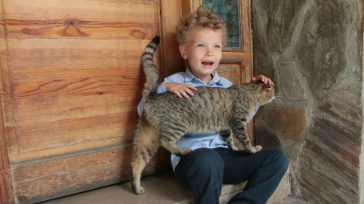 El actor Emre Mete Sönmez, rubio  de ojos azules &nbsp; &nbsp; Orbedatos Agencia de Noticias El pequeño Emre Mete Sönmez, rubio y de ojos azules, tiene a las señoras televidentes [&hellip;]