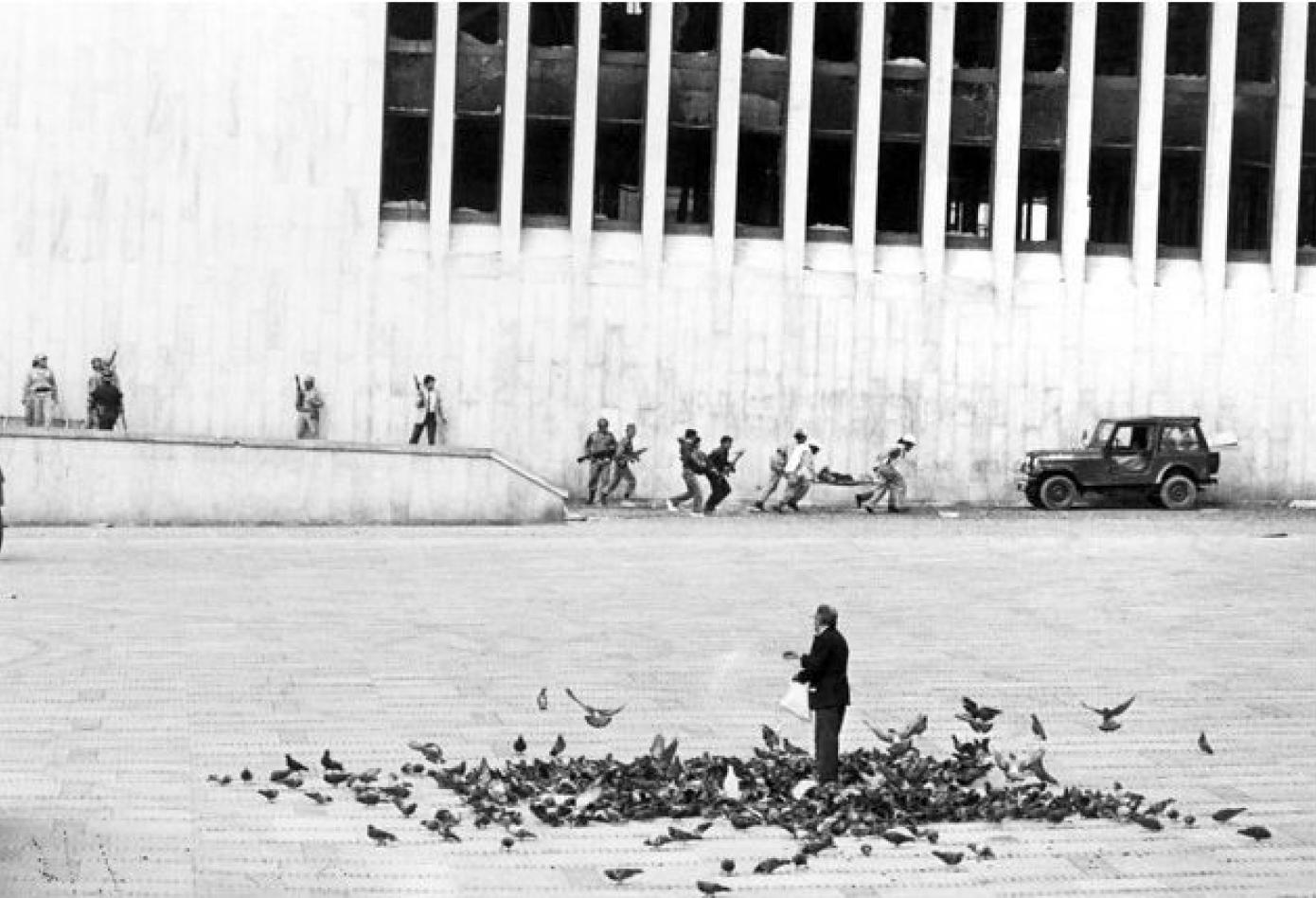 Historia La Toma Del Palacio De Justicia Primicia Diario