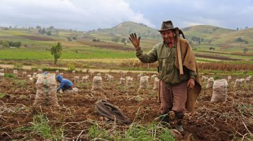 Campesinos de Cundinamarca y Boyacá han salvado su cosecha por la comercialización directa con la ayuda del gobernador Nicolás García Bustos. &nbsp; &nbsp; Orbedatos La papa de Cundinamarca y Boyacá será [&hellip;]