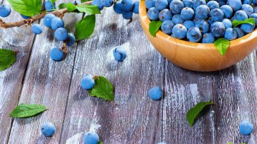 El auge de la demanda global y las características nutracéuticas del producto, al ser uno de los frutos que cuenta con más estudios y avales de la comunidad científica que [&hellip;]