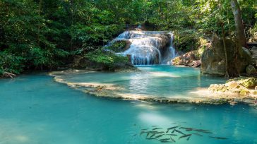 El entorno  es una verdadera joya para los amantes de la naturaleza. Se mire a donde se mire, los ojos no dejan de toparse con masas frondosas de vegetación, que consiste […]