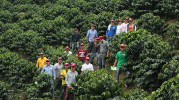 Campamento de Jóvenes Cafeteros realizado en la Estación Experimental de Floridablanca  con el objetivo de crear espacios de integración y capacitación. &nbsp; &nbsp; &nbsp; Jóvenes cafeteros crearon empresas que se proyectan [&hellip;]
