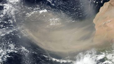 El desierto del Sahara es considerado el más grande del mundo, por lo que ocupa un espacio casi tan grande como el de China o los Estados Unidos. En este lugar, […]