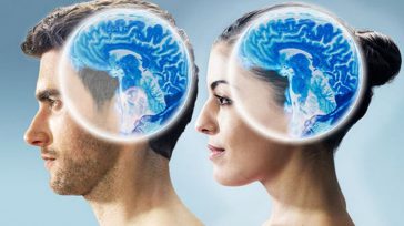 Hombre y mujer con sus respectivos cerebros &nbsp; Primicia Diario Los estudios sobre morfología y función cerebral muestran que existen diferencias entre los encéfalos  de machos y de hembras: varias estructuras [&hellip;]