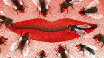 Tal cual &nbsp; &nbsp; Manuel Tiberio Bermúdez «En boca cerrada no entran moscas», dice el refrán popular, pero lo que pocos saben es que nuestra boca revela mucho sobre el [&hellip;]