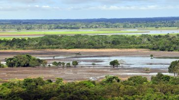 Llanos orientales     Fred Emiro Nuñez Cruz La Universidad La Gran Colombia con motivo de la celebración de los 70 años, lanzó el texto «Los Llanos del Meta y […]