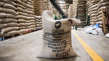 El café a pesar de los buenos precios se bajó en materia de exportación como consecuencia del estallido social.    Rafael Camargo En mayo, y como había venido advirtiendo la […]