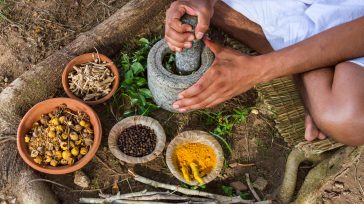 Especias que se preparan en el departamento del Chocó      Contribuyendo con innovación en sabores y nuevas técnicas para producir gran variedad de sazonadores y colorantes naturales, las empresas […]