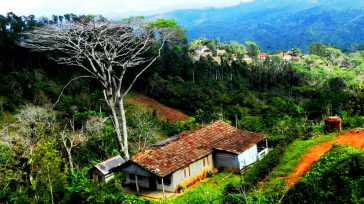 La naturaleza da energía a los árboles.     Texto y fotos Lázaro David Najarro Pujol La naturaleza es majestuosidad, hace la vida más hermosa y es latir del corazón […]