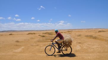 Largos recorridos para llevar unos cuantos litros de agua.Fotografía: Catalina Ruge       Ignacio Manuel Epinayu Pushaina La Guajira es una dama engalanada a los que muchos coquetean, desean […]