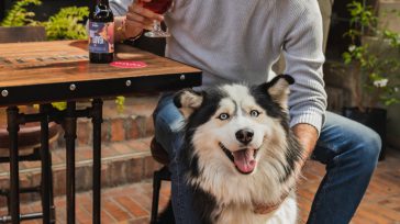 Con el slogan: «Brindemos Con Ellos», este par de emprendedores quieren aportar por medio de una manera original a la problemática de perritos en condiciones de abandono, mala alimentación o […]