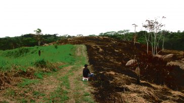 Se perdieron cerca de 1.500 hectáreas a pesar de haber perdido otras 3.000 en esa misma zona y 74.000 en el resto de territorio de Amazonas en solo el primer […]