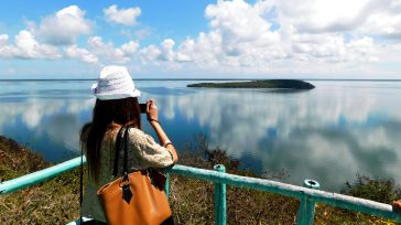 Ballenato     Lázaro David Najarro Pujol Ilustraciones René de la Torre   En Punta del Este nos sorprende el amanecer con uno de los paisajes naturales y arrecifes coralinos […]