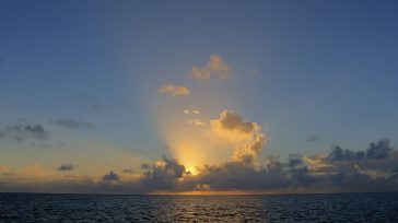 Un atardecer en la región de San Andrés que se encuentra en peligro de seguir perdiendo mar por el torpe manejo de las relaciones exteriores del gobierno nacional.    Orbedatos […]