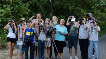 Grupos de diferentes partes del mundo vienen a Colombia para observar nuestras aves.      Con 1.335 especies observadas este 9 de octubre, el país volvió a estar por encima […]