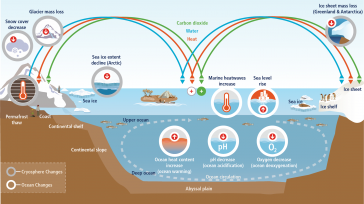 Esquema de los componentes críticos y sus alteraciones en el océano y la criosfera     Ministro Chang Tzi-chin Administración de Protección Ambiental República de China (Taiwán)   Mientras que […]