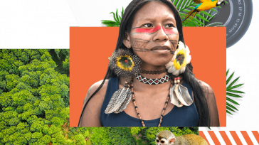 El Festival Internacional de Cine y Ambiente Itinerante de la Amazonía       El Festival Internacional de Cine y Ambiente Itinerante de la Amazonía – FICAMAZONÍA, llega a su […]