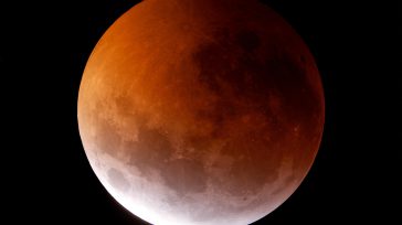 Hoy 19 de noviembre, las personas de diferentes países del mundo, incluyendo Colombia, podrán ser testigos de un fenómeno natural único: el eclipse lunar parcial más largo en 580 años.