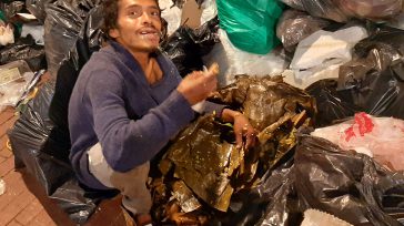 En las bolsas de basura en pleno centro de Bogotá la gente busca comida. Foto Junior. Primicia Diario.     Víctor Hugo Lucero Montenegro A una cuadra del Palacio Arzobispal, a […]