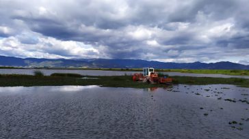 La Laguna de Fúquene en la mira de la Procuraduría para evitar que sigan ejerciendo actividades prohibidas.       La Procuraduría General de la Nación conminó a los 17 municipios […]