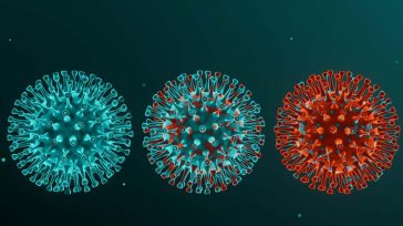 IMAGEN DE LA VARIANTE    La variante ómicron del coronavirus causante de la Covid-19  presenta muchas más mutaciones que la cepa delta, según una primera «imagen» de la misma, realizada y publicada […]