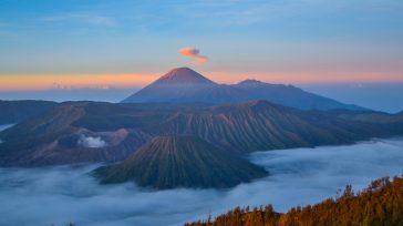 El volcán Semeru en Indonesia entró en erupción el sábado y causó la muerte de al menos 15 personas y casi un centenar de heridos, según la agencia de desastres del […]