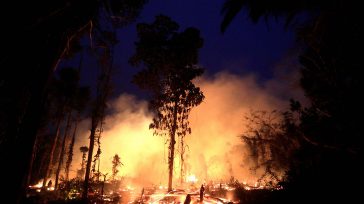 Los múltiples incendios en las selvas colombianas está afectando la calidad del aire en ciudades como Bogotá.      La Administración Distrital declaró la alerta ambiental en Bogotá por la […]