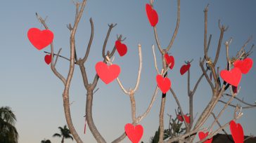 El día de San Valentín es una festividad anual que se celebra el 14 de febrero, varios países suelen conmemorar este día cómo el ritual del amor, la unión y la reconciliación, algunos de […]